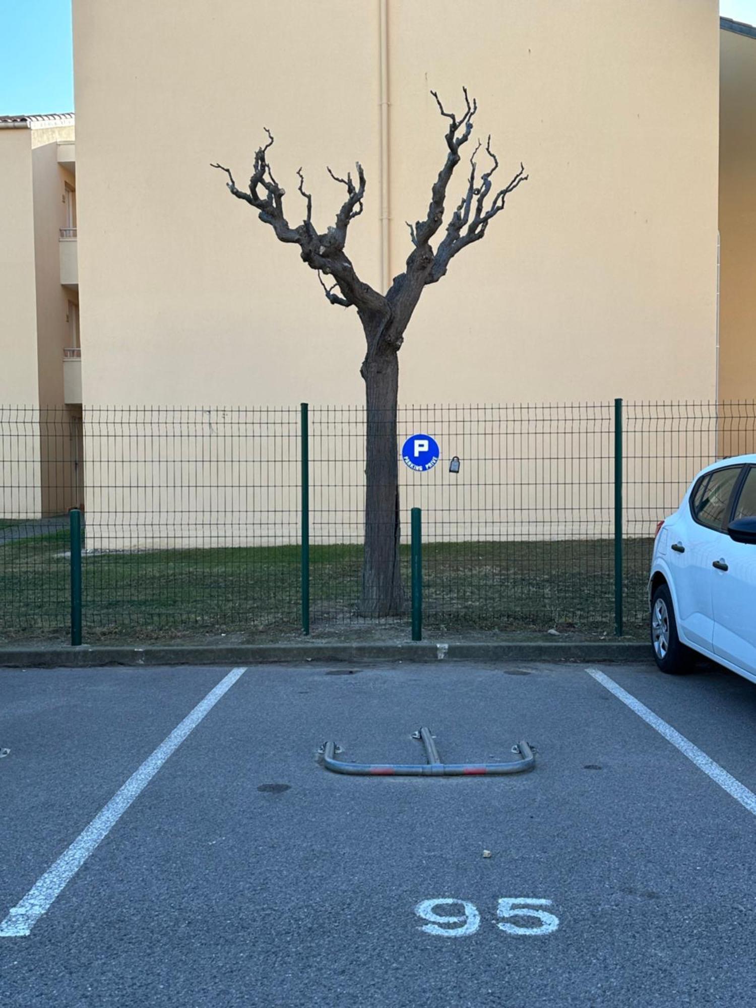 T2 Rdc A Canet En Roussillon Europa 4 Pers ,Piscine,Clim, Tennis, Parking Eksteriør bilde